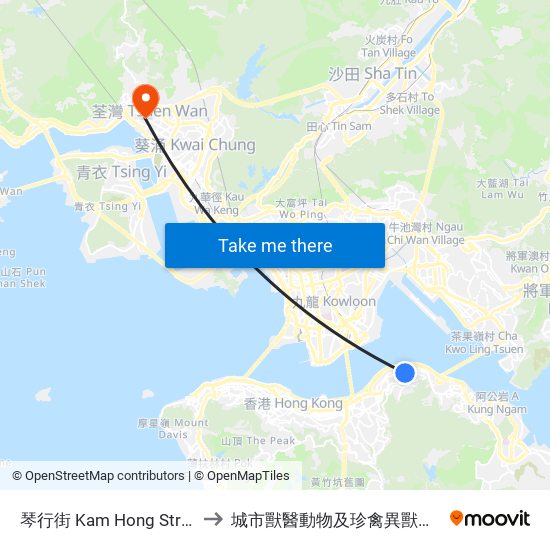 琴行街 Kam Hong Street to 城市獸醫動物及珍禽異獸醫院 map