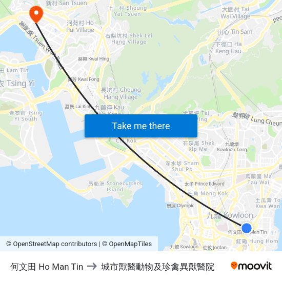 何文田 Ho Man Tin to 城市獸醫動物及珍禽異獸醫院 map
