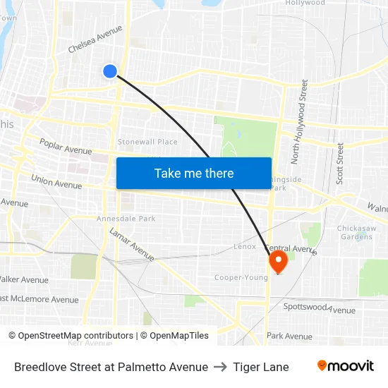 Breedlove Street at Palmetto Avenue to Tiger Lane map