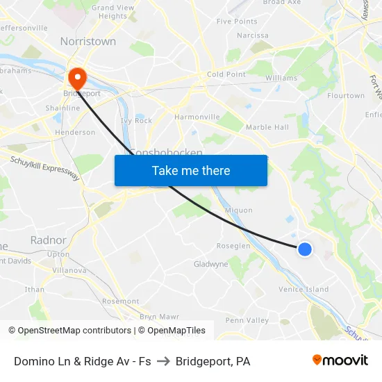 Domino Ln & Ridge Av - Fs to Bridgeport, PA map