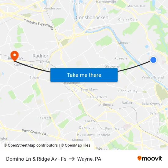 Domino Ln & Ridge Av - Fs to Wayne, PA map
