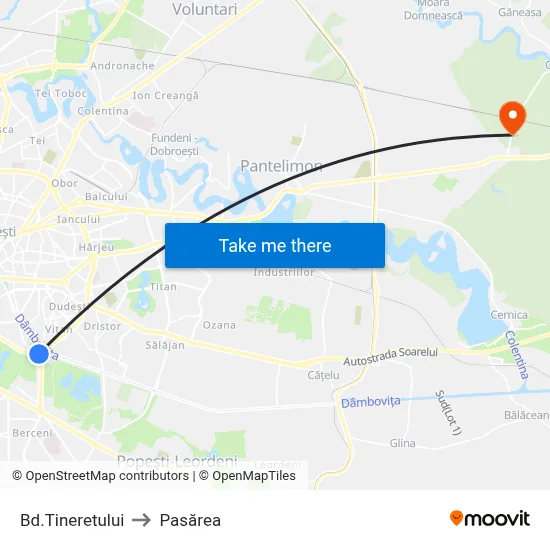 Bd.Tineretului to Pasărea map
