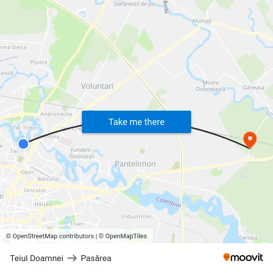 Teiul Doamnei to Pasărea map