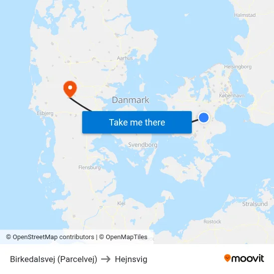 Birkedalsvej (Parcelvej) to Hejnsvig map