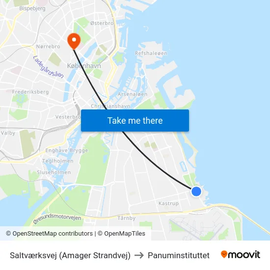 Saltværksvej (Amager Strandvej) to Panuminstituttet map