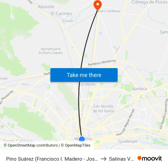 Pino Suárez (Francisco I. Madero - José María Arteaga) to Salinas Victoria map