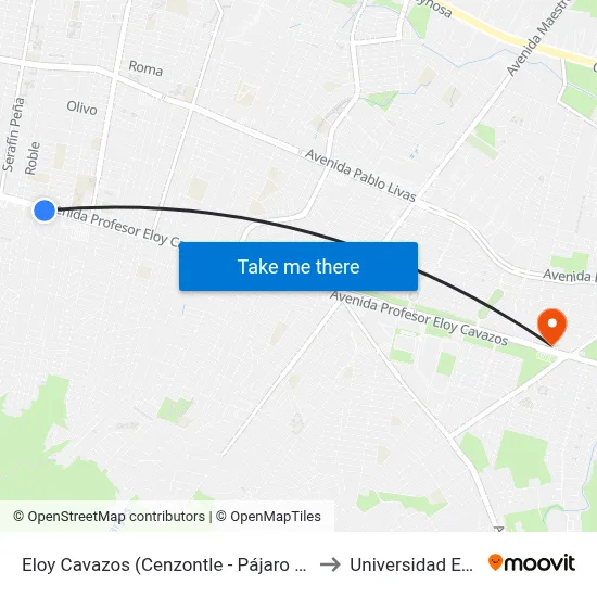 Eloy Cavazos (Cenzontle - Pájaro Azul) to Universidad Edec map