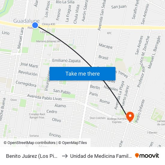 Benito Juárez (Los Pinos - Álamos) to Unidad de Medicina Familiar No. 29 Imss map