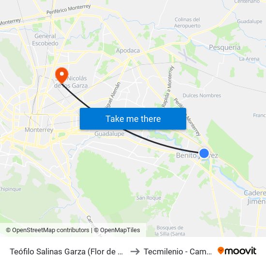 Teófilo Salinas Garza (Flor de Loto - Paseo de San Juan) to Tecmilenio - Campus San Nicolás map