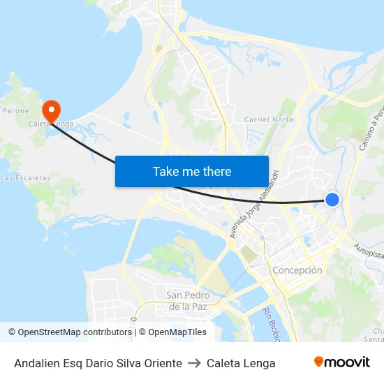 Andalien Esq Dario Silva  Oriente to Caleta Lenga map