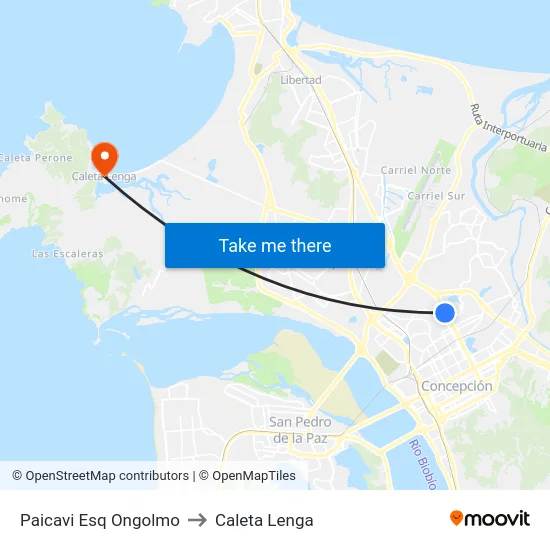 Paicavi Esq Ongolmo to Caleta Lenga map