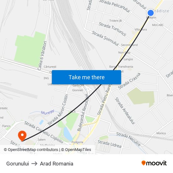 Gorunului to Arad Romania map