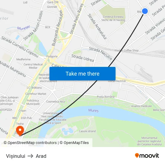 Vișinului to Arad map