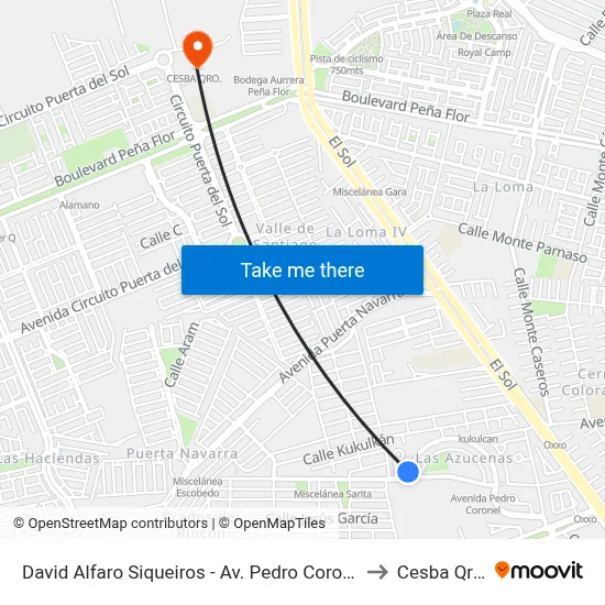 David Alfaro Siqueiros - Av. Pedro Coronel to Cesba Qro. map