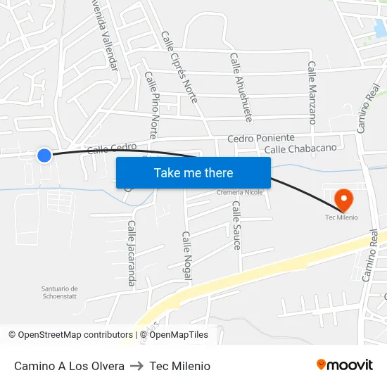 Camino A Los Olvera to Tec Milenio map
