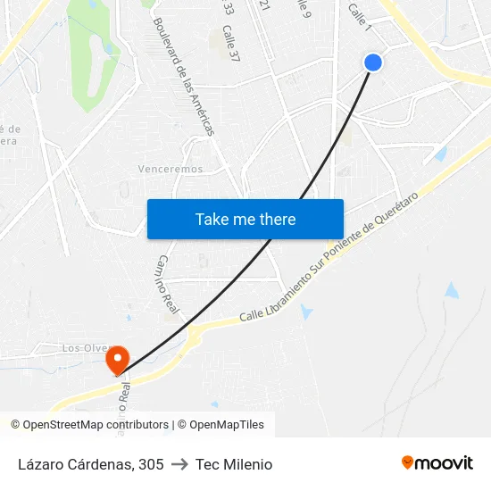 Lázaro Cárdenas, 305 to Tec Milenio map