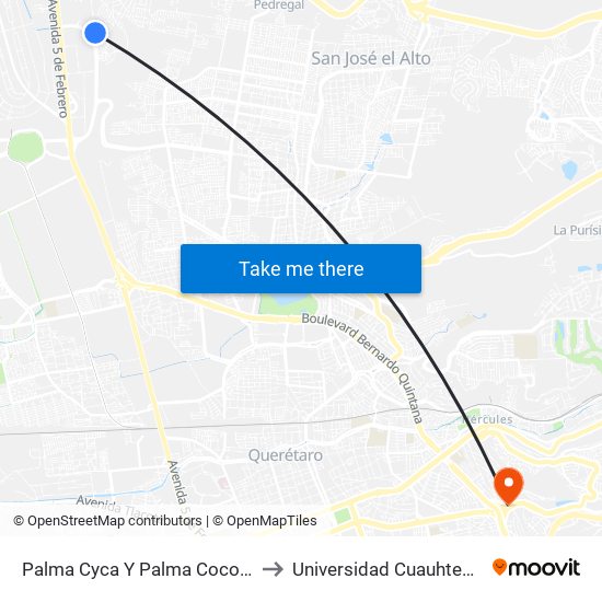 Palma Cyca Y Palma Cocotera to Universidad Cuauhtemoc map