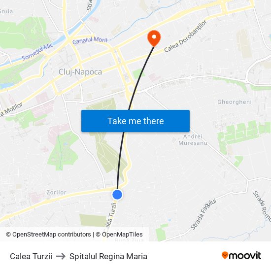 Calea Turzii to Spitalul Regina Maria map