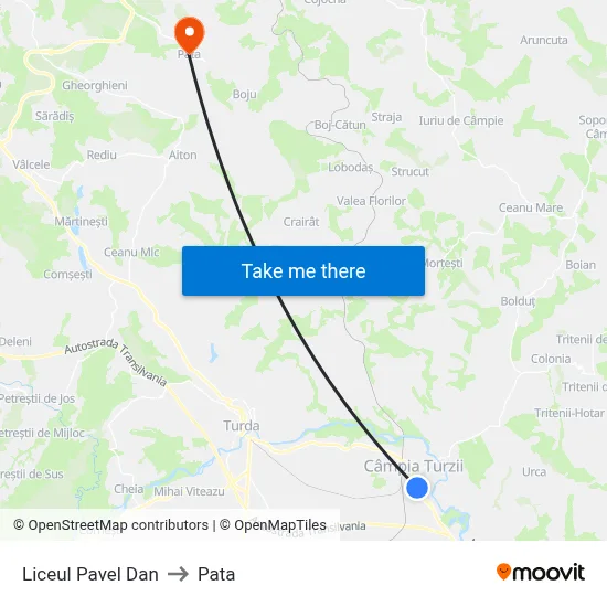 Liceul Pavel Dan to Pata map