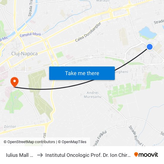 Iulius Mall Est to Institutul Oncologic Prof. Dr. Ion Chiricuță map