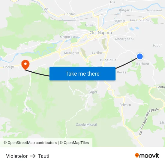 Violetelor to Tauti map