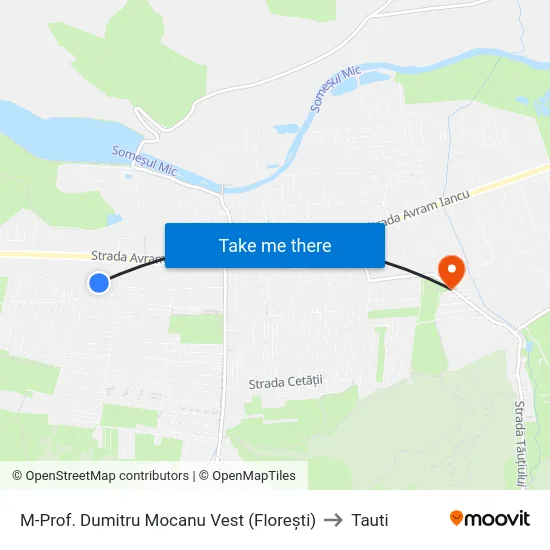 Harta de M-Prof. Dumitru Mocanu Vest (Florești) către Tauti