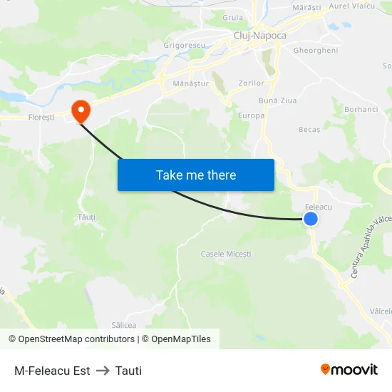 M-Feleacu Est to Tauti map