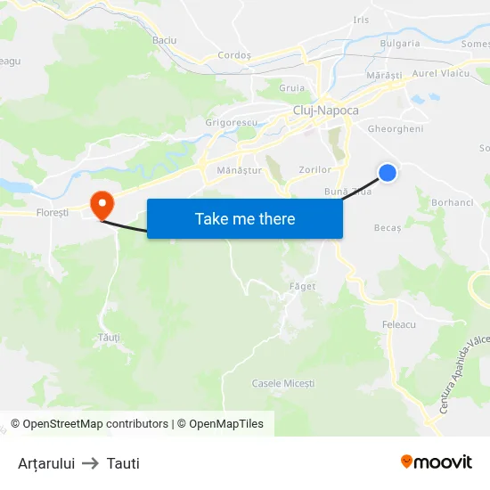 Arțarului to Tauti map