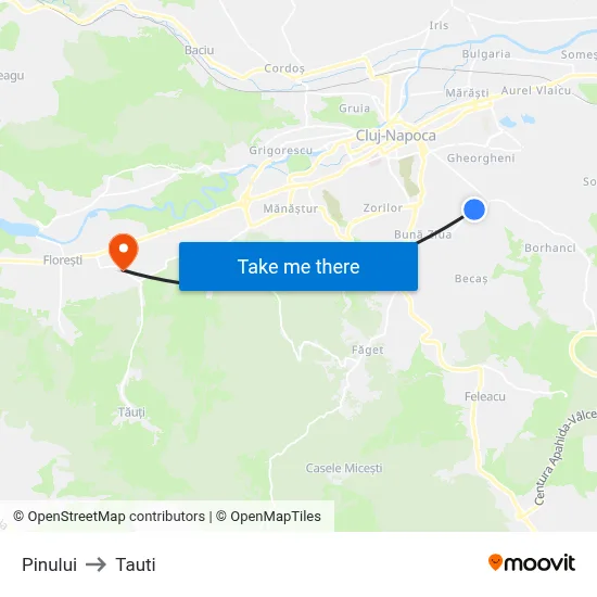 Pinului to Tauti map