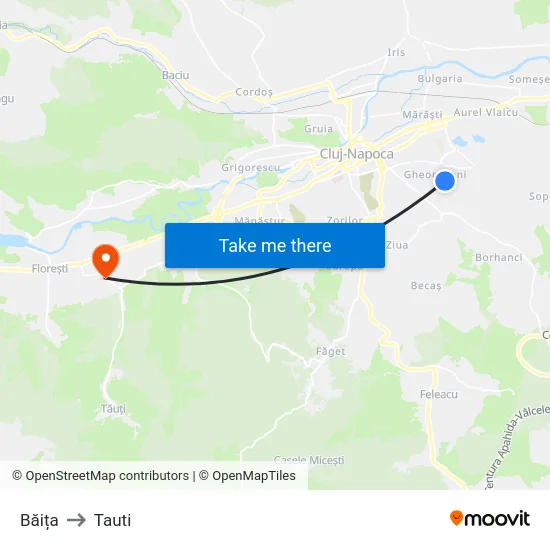 Băița to Tauti map