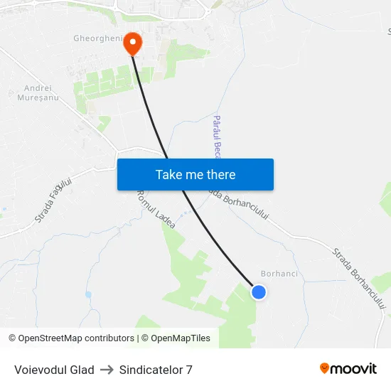 Voievodul Glad to Sindicatelor 7 map