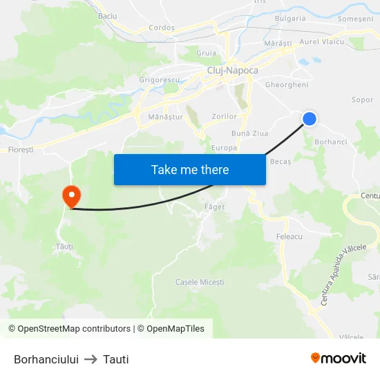 Borhanciului to Tauti map