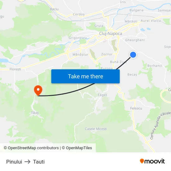 Pinului to Tauti map
