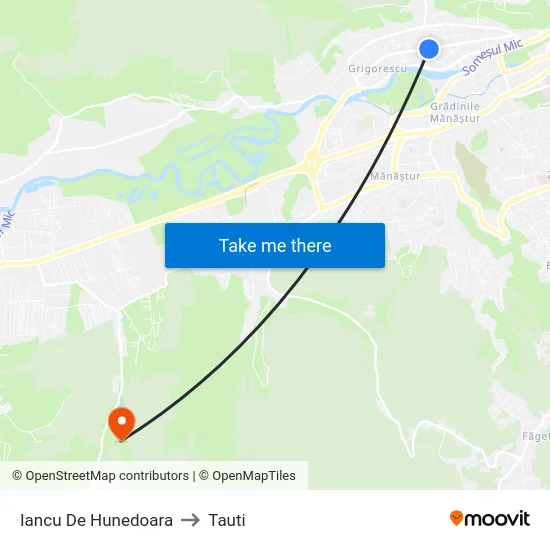 Iancu De Hunedoara to Tauti map