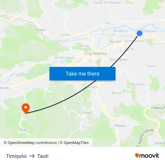Timișului to Tauti map