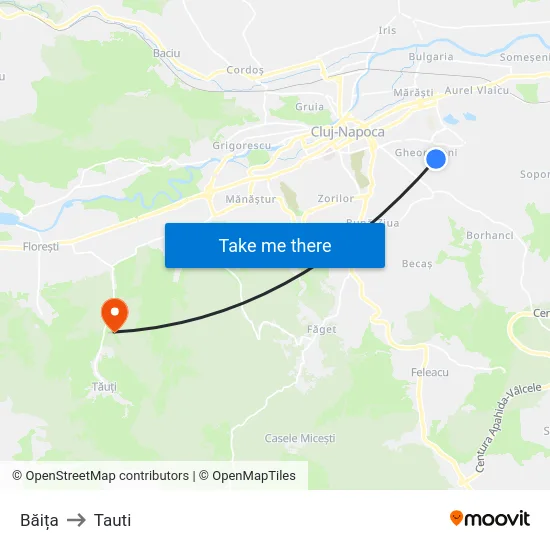 Băița to Tauti map