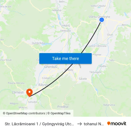 Str. Lăcrămioarei 1 / Gyöngyvirág Utca 1 to tohanul Nou map
