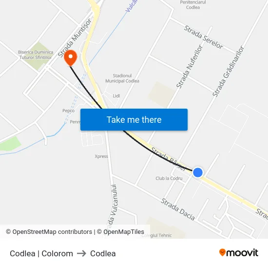 Codlea | Colorom to Codlea map