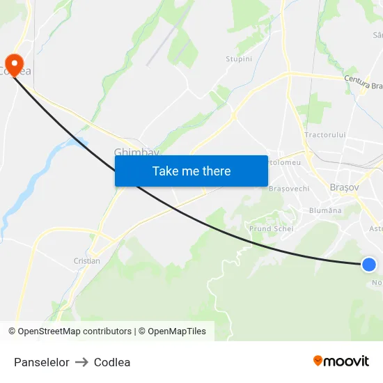 Panselelor to Codlea map
