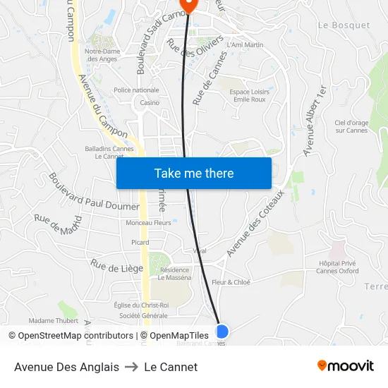 Avenue Des Anglais to Le Cannet map