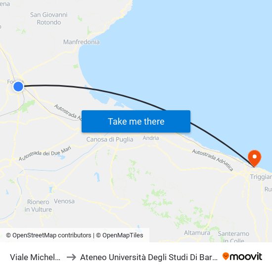 Viale Michelangelo to Ateneo Università Degli Studi Di Bari ""Aldo Moro"" map