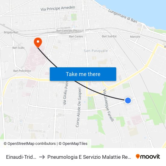 Einaudi-Tridente to Pneumologia E Servizio Malattie Respiratorie map