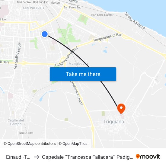 Einaudi-Turati to Ospedale ""Francesca Fallacara"" Padiglione Nord map