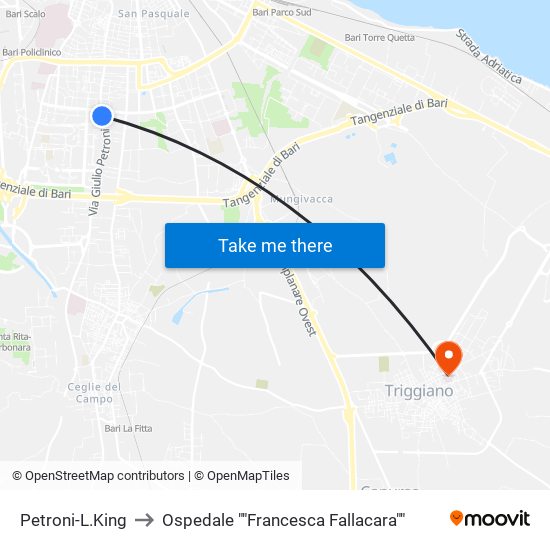 Petroni-L.King to Ospedale ""Francesca Fallacara"" map