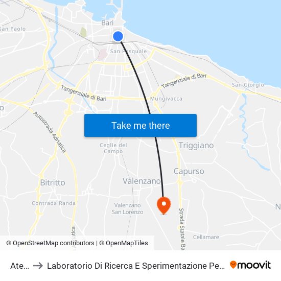 Ateneo to Laboratorio Di Ricerca E Sperimentazione Per La Difesa Delle Coste map