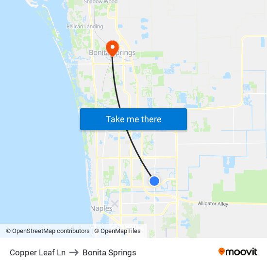 Copper Leaf Ln to Bonita Springs map