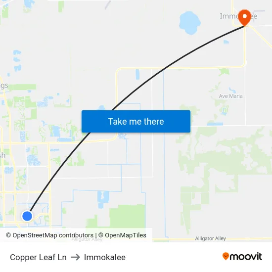 Copper Leaf Ln to Immokalee map