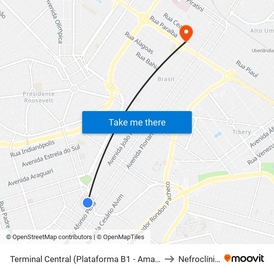 Terminal Central (Plataforma B1 - Amarelo) to Nefroclínica map