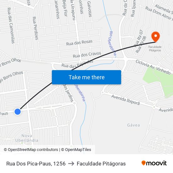 Rua Dos Pica-Paus, 1256 to Faculdade Pitágoras map