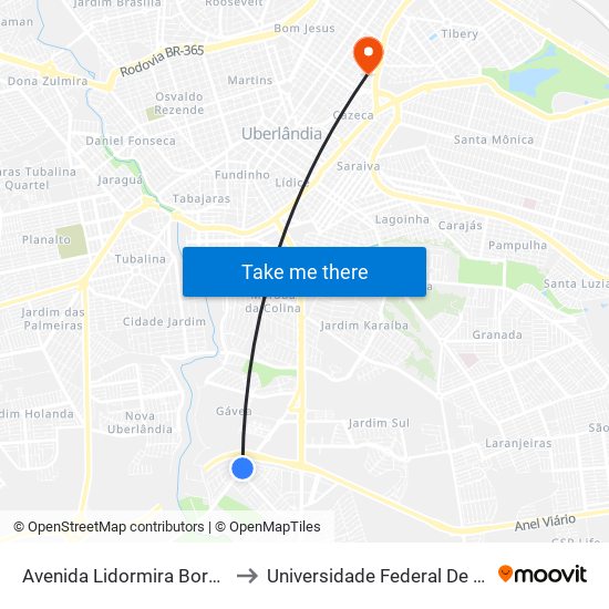 Avenida Lidormira Borges Do Nascimento, 6205 to Universidade Federal De Uberlândia - Campus Educa map